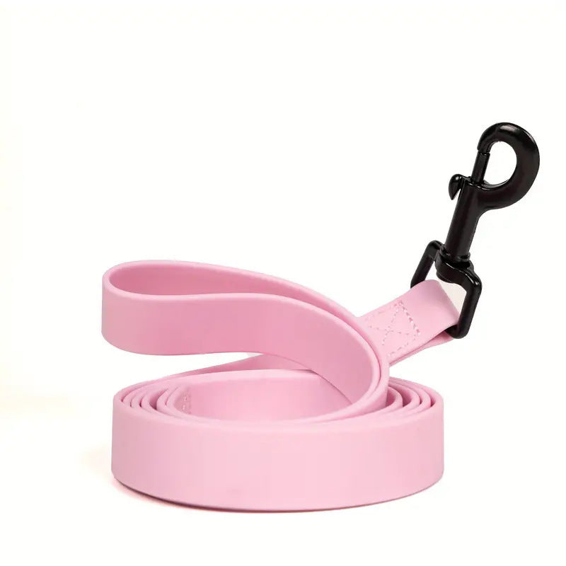 Simple Solid Color Pet Leash