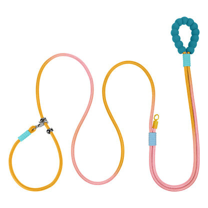 Cross Hand Holding Leashes