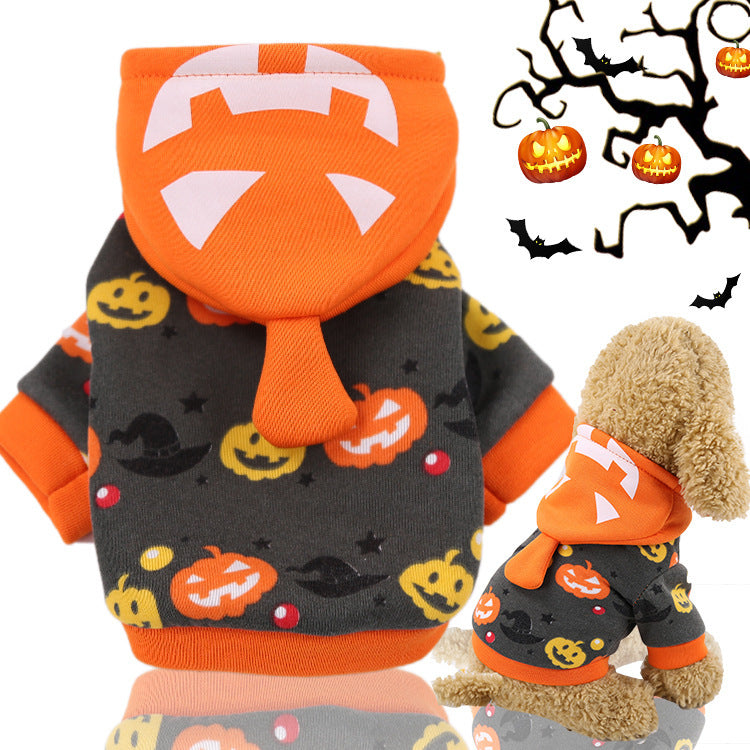 Pumpkin Dog Clothes