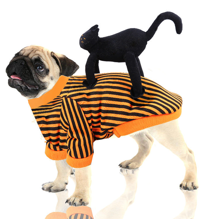 Pumpkin Dog Clothes