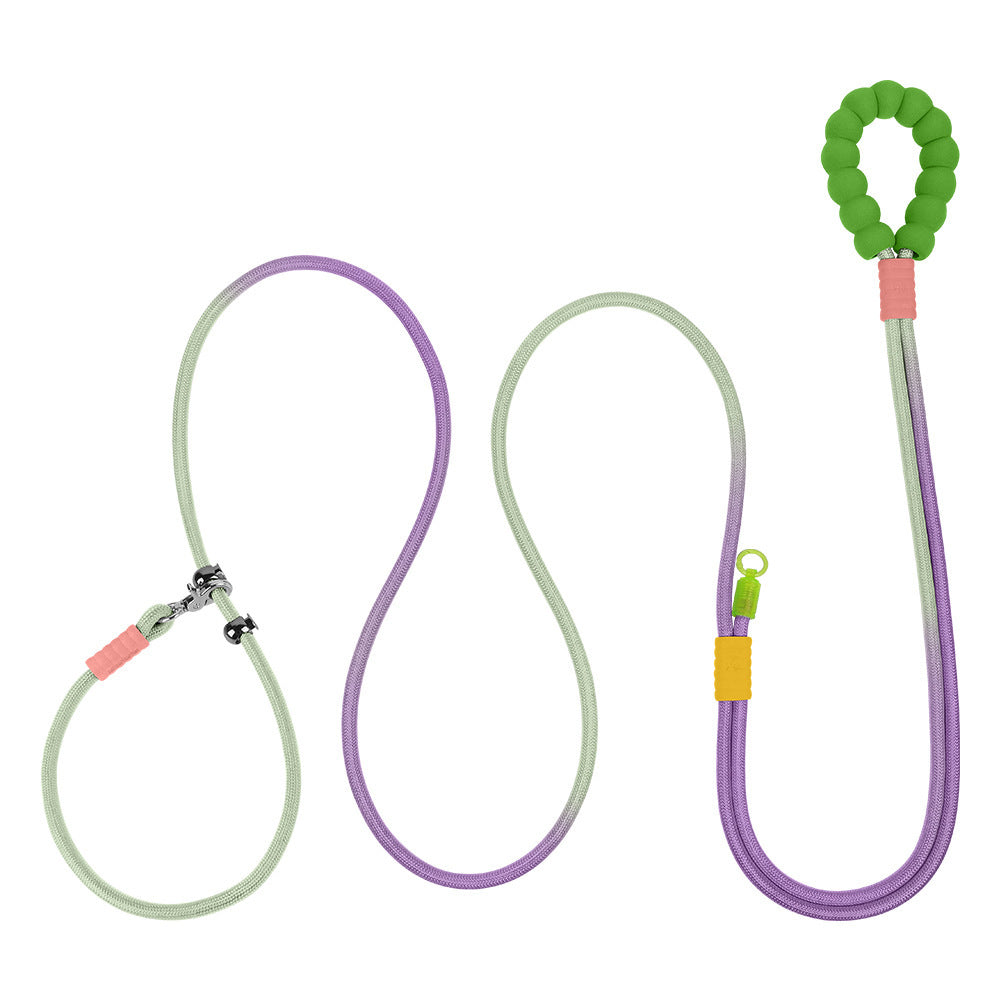 Cross Hand Holding Leashes