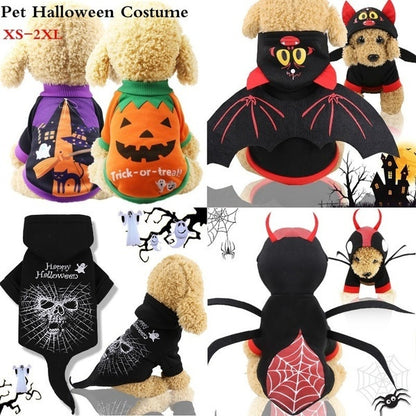 Pumpkin Dog Clothes
