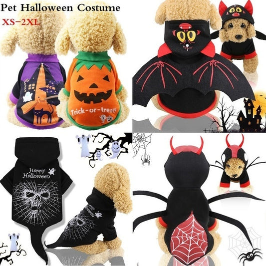 Pumpkin Dog Clothes