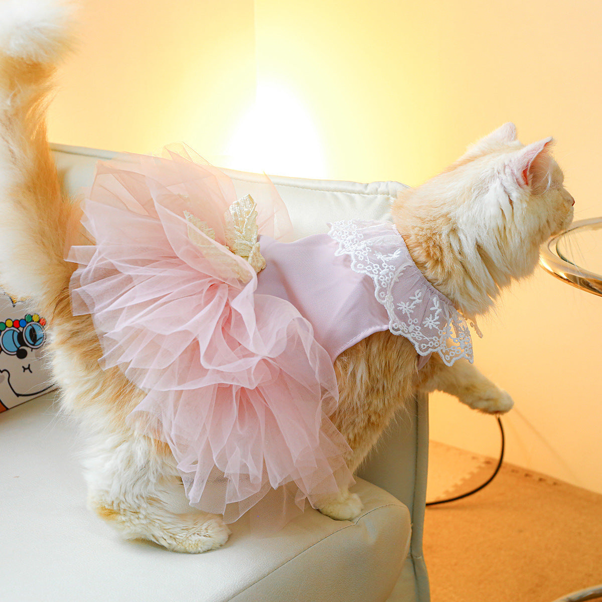 Cat Clothes Lace
