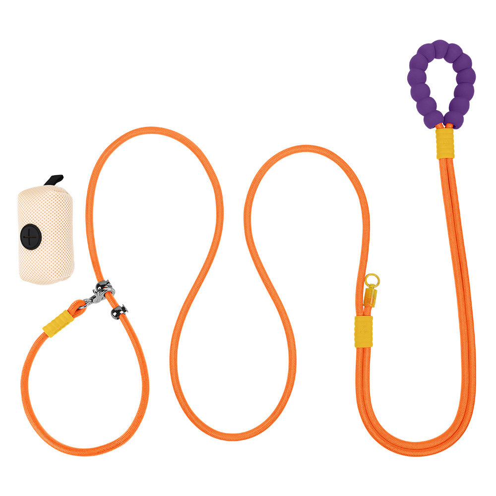 Cross Hand Holding Leashes