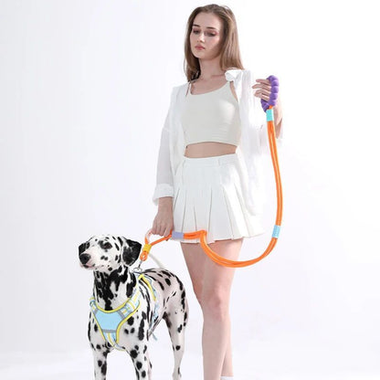 Versatile Pet Traction Leashes