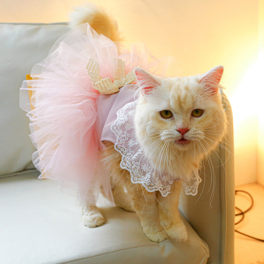Cat Clothes Lace