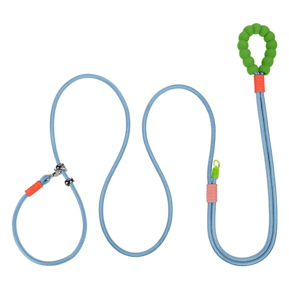 Cross Hand Holding Leashes