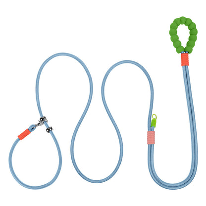 Cross Hand Holding Leashes