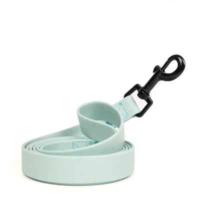 Simple Solid Color Pet Leash