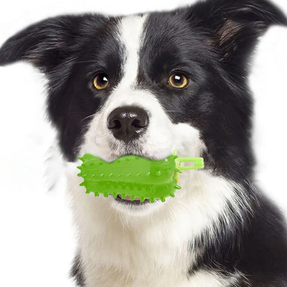 Interactive Dog Teething