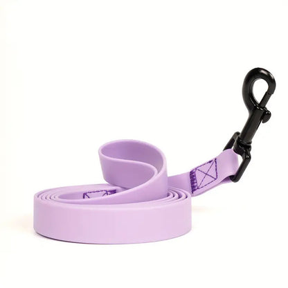 Simple Solid Color Pet Leash