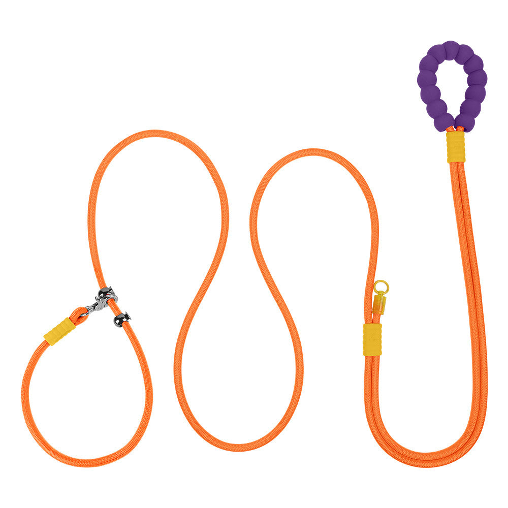 Cross Hand Holding Leashes