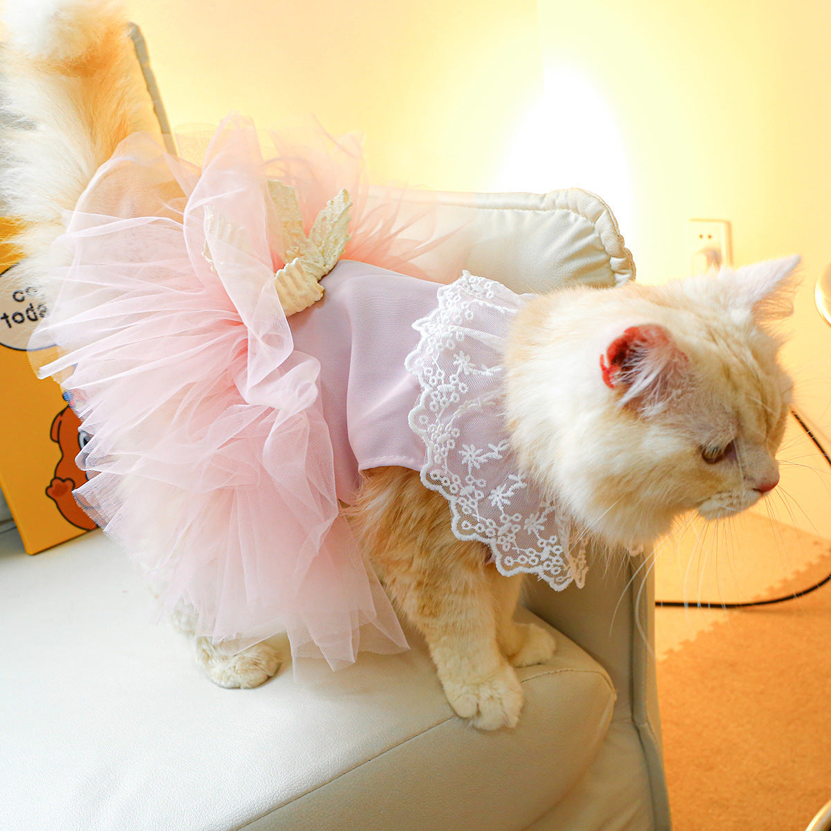 Cat Clothes Lace