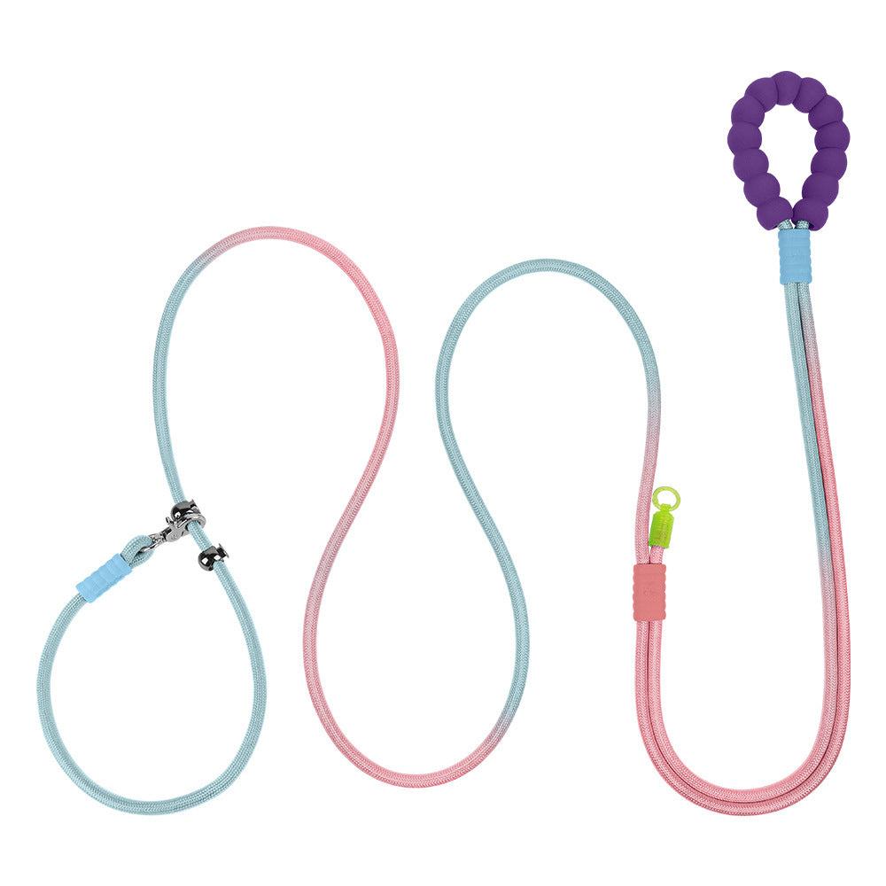 Cross Hand Holding Leashes